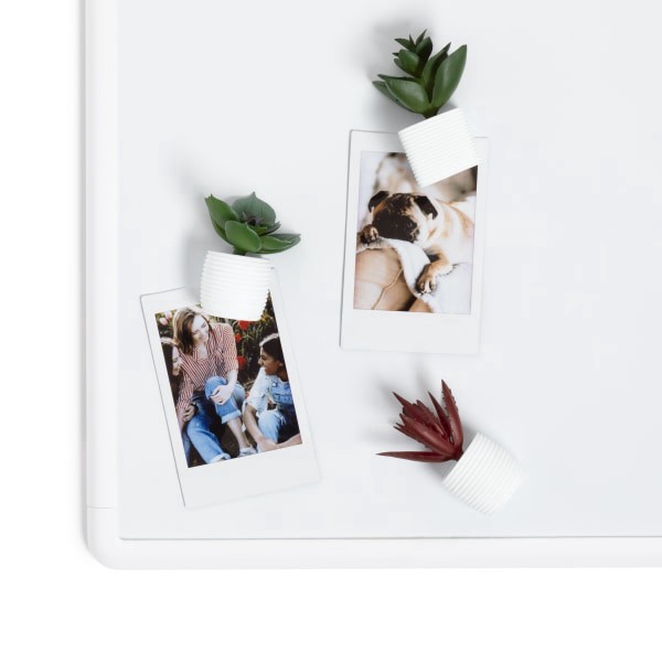 slide 4 of 4, U Brands® Succulent Locker Magnets, 2-3/8"" x 1-5/8"", Multicolor, Set Of 3 Magnets, 1 ct