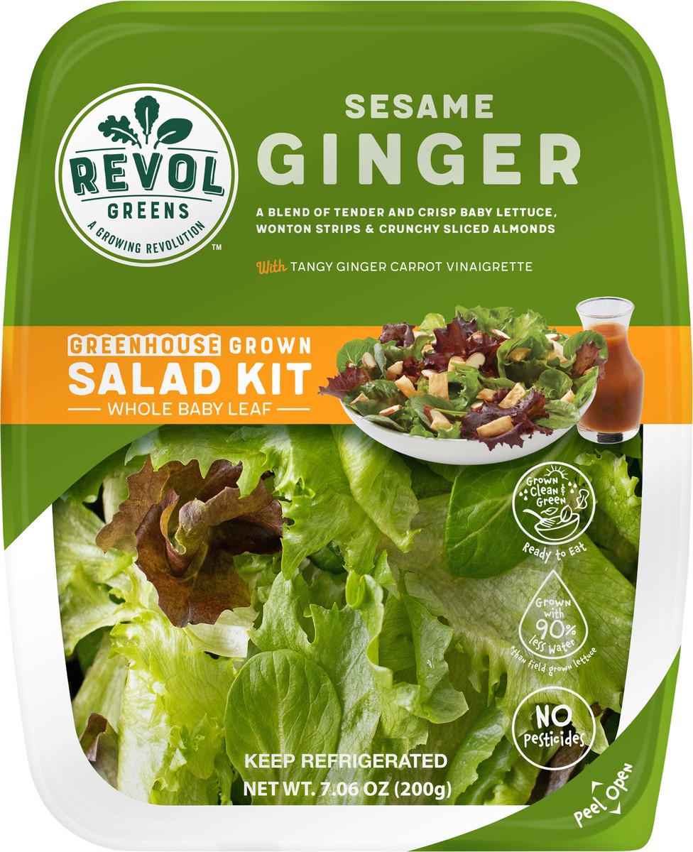 slide 2 of 2, Revol Greens Sesame Ginger Fusion Kit, 1 ct