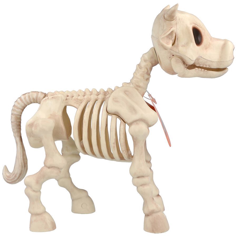slide 5 of 5, Happy Halloween Skeleton Cow, 1 ct