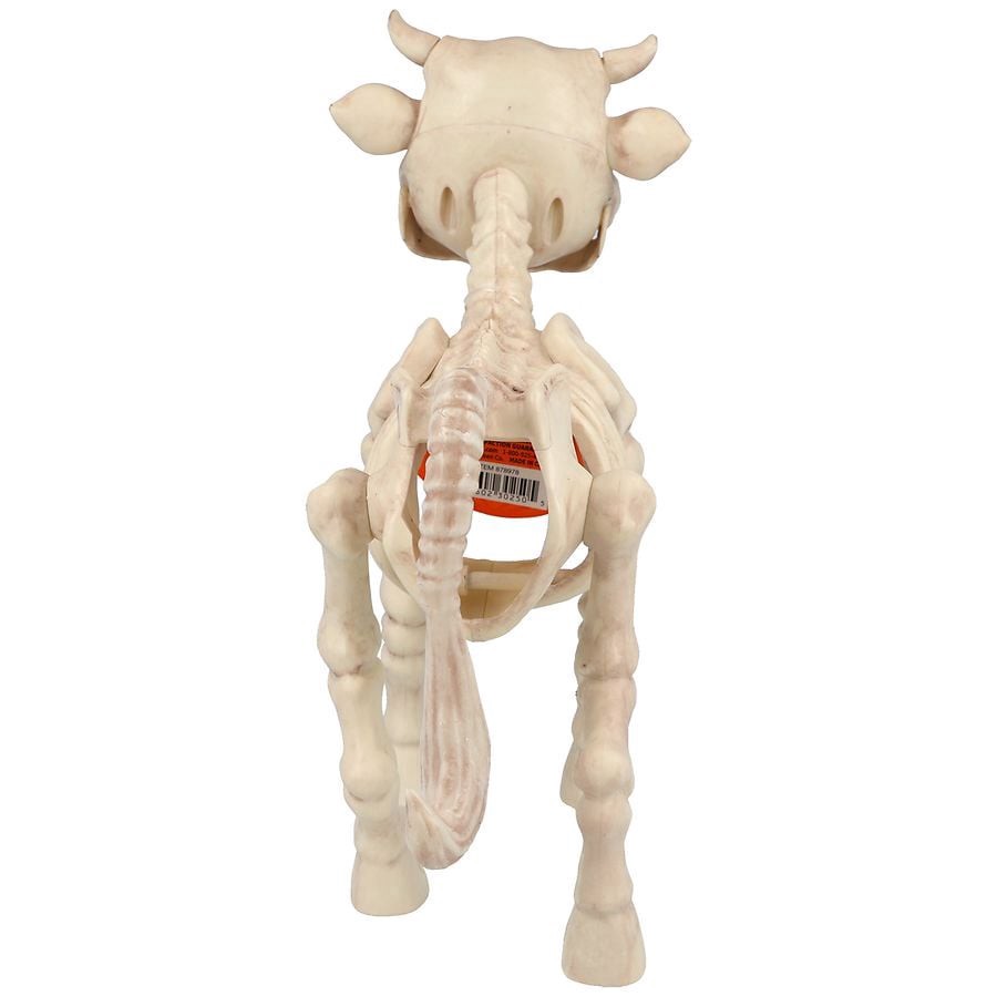 slide 3 of 5, Happy Halloween Skeleton Cow, 1 ct