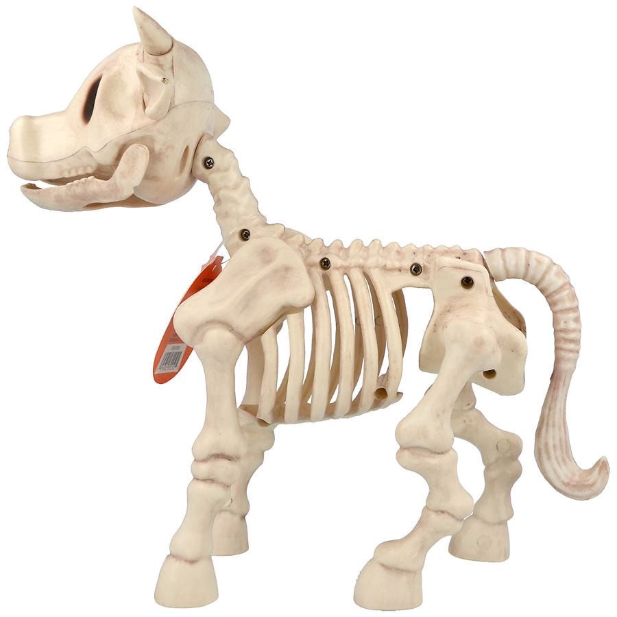 slide 2 of 5, Happy Halloween Skeleton Cow, 1 ct