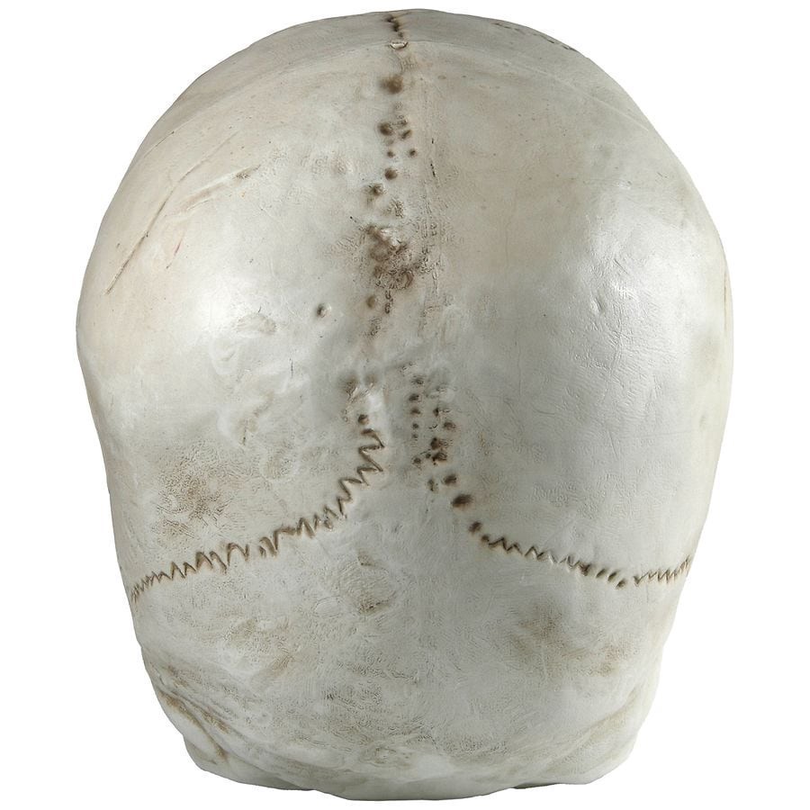 slide 2 of 4, Happy Halloween Light Up Skeleton Head, 1 ct