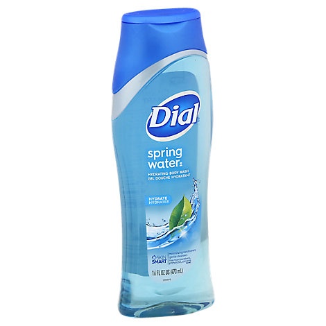 slide 1 of 1, Dial Body Wash Spring Water With Moisturizer, 18 fl oz