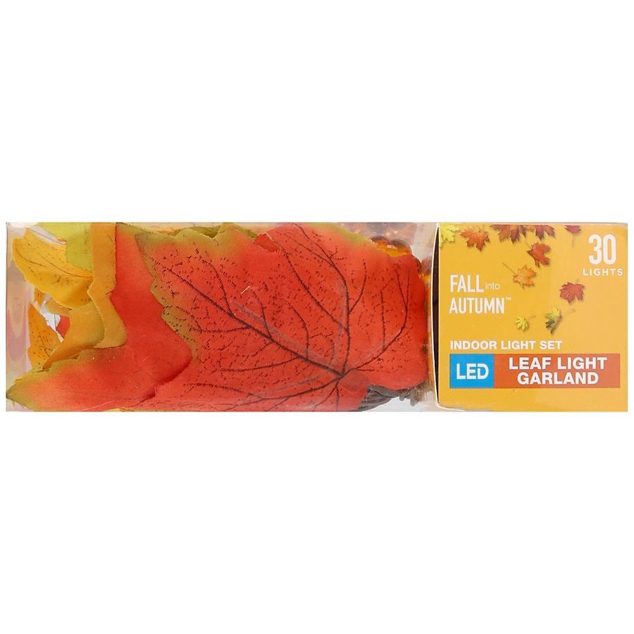 slide 4 of 5, Fall into Autumn LED Leaf Light Garland Indoor Light Set, 1 ct