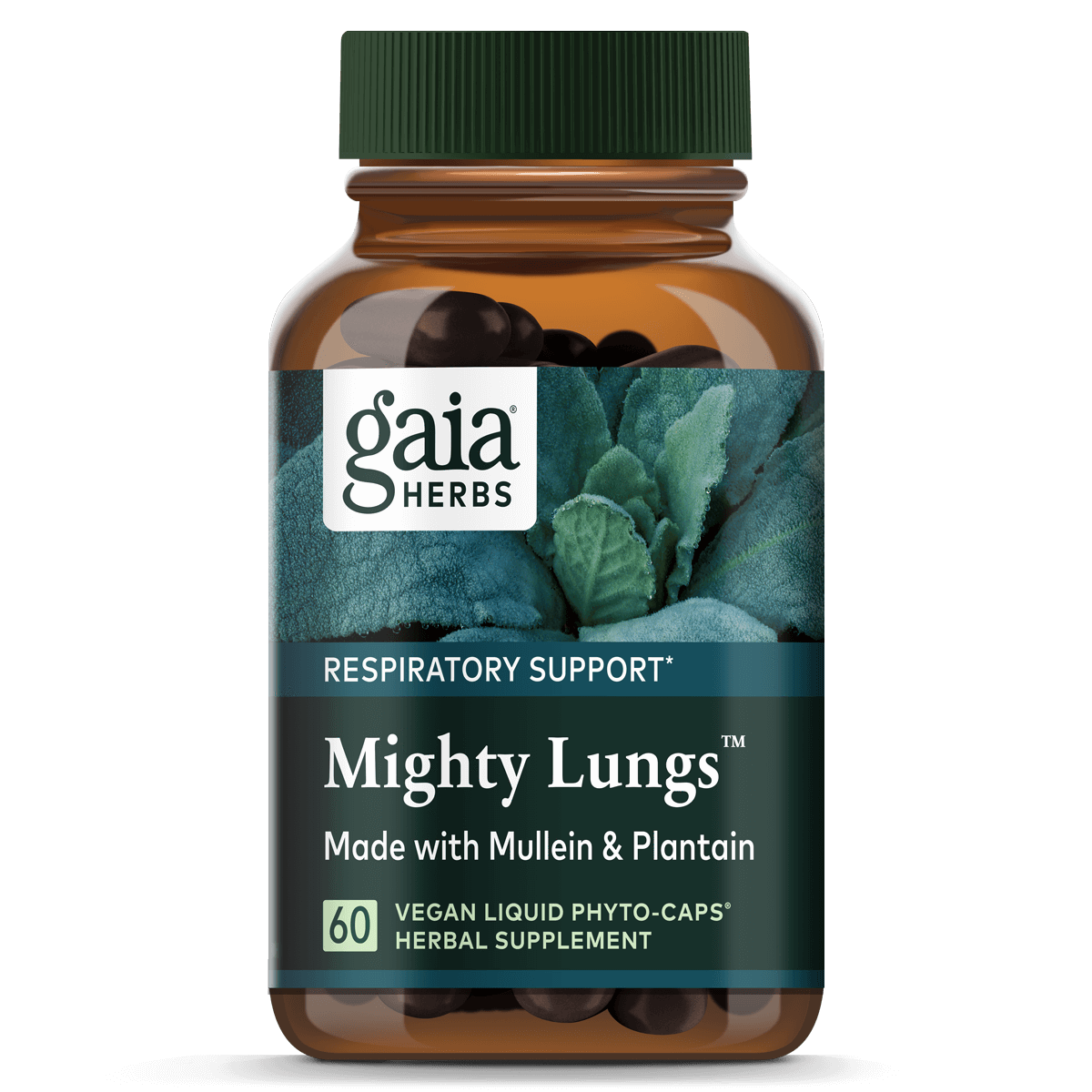 slide 1 of 1, Gaia Herbs Mighty Lungs, 60 ct