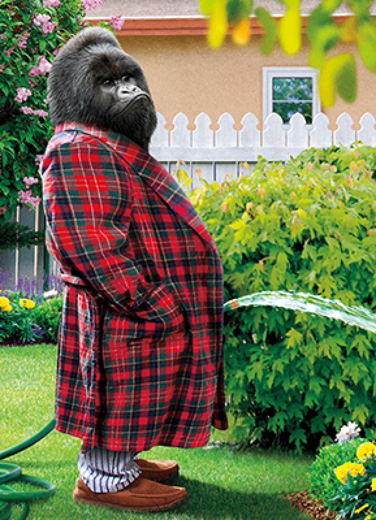 slide 1 of 1, Avanti Gorilla With Flip Phone Card, 1 ct