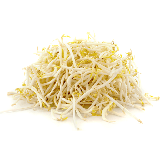 slide 1 of 1, Bulk Bean Sprouts, per lb