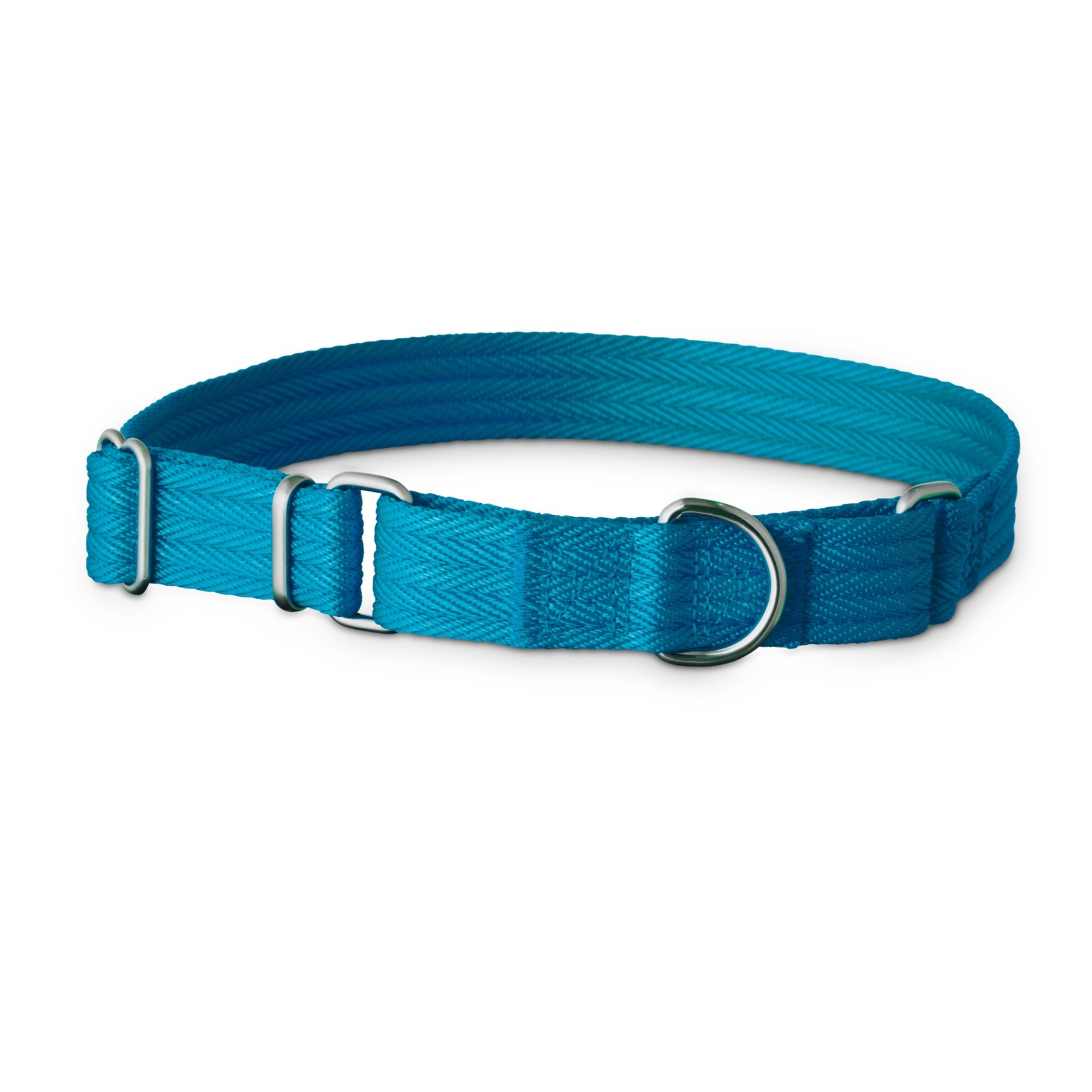 slide 1 of 1, Good2Go Blue Martingale Dog Collar, MED