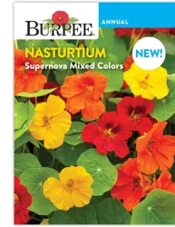 Burpee Nasturtium Supernova Mixed Colors