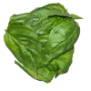 slide 3 of 5, Superbloom Farms Genovese Basil - 1.5 oz, 1.5 oz