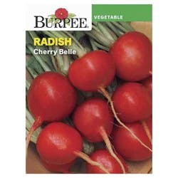 Burpee Radish, Cherry Belle