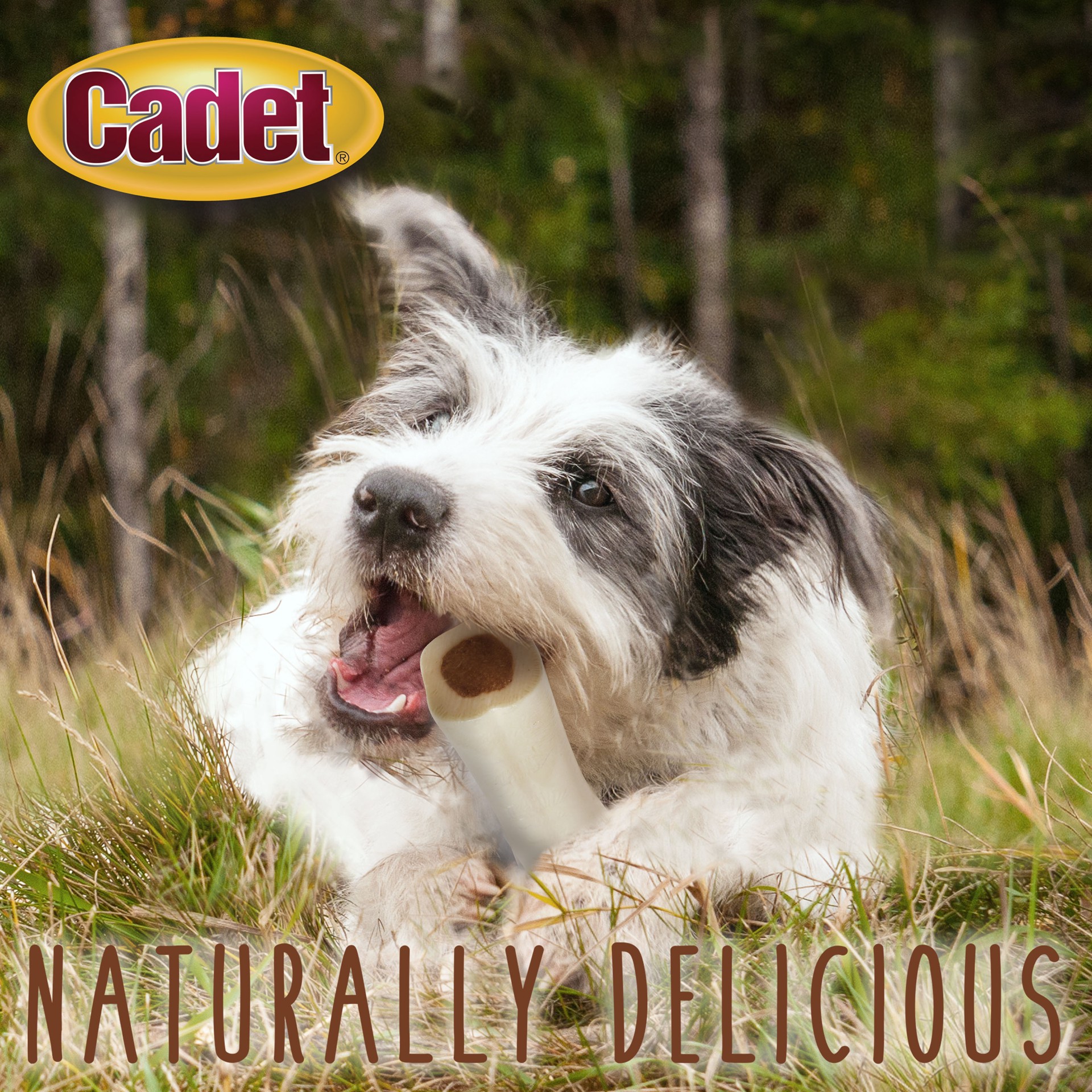 slide 8 of 8, Cadet Junior Stuffed Shin Bones for Dogs Peanut Butter Petite (2 Count), 2 ct