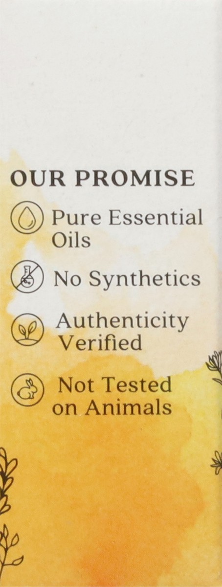 slide 7 of 11, Aura Cacia Uplifting Kit Essential Oils Bottle 4 ea, 4 ct