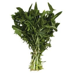 Freida Dandelion Green