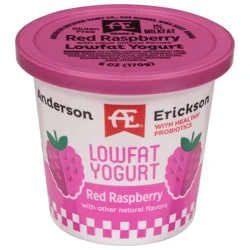 Anderson Erickson Dairy Raspberry Lowfat Yogurt