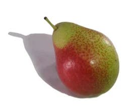 Forelle Pear