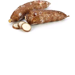 Yucca Root