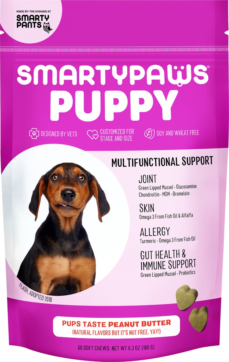 slide 1 of 4, SmartyPaws Puppy Multifunction Support Dog Chews 60 ea, 60 ct