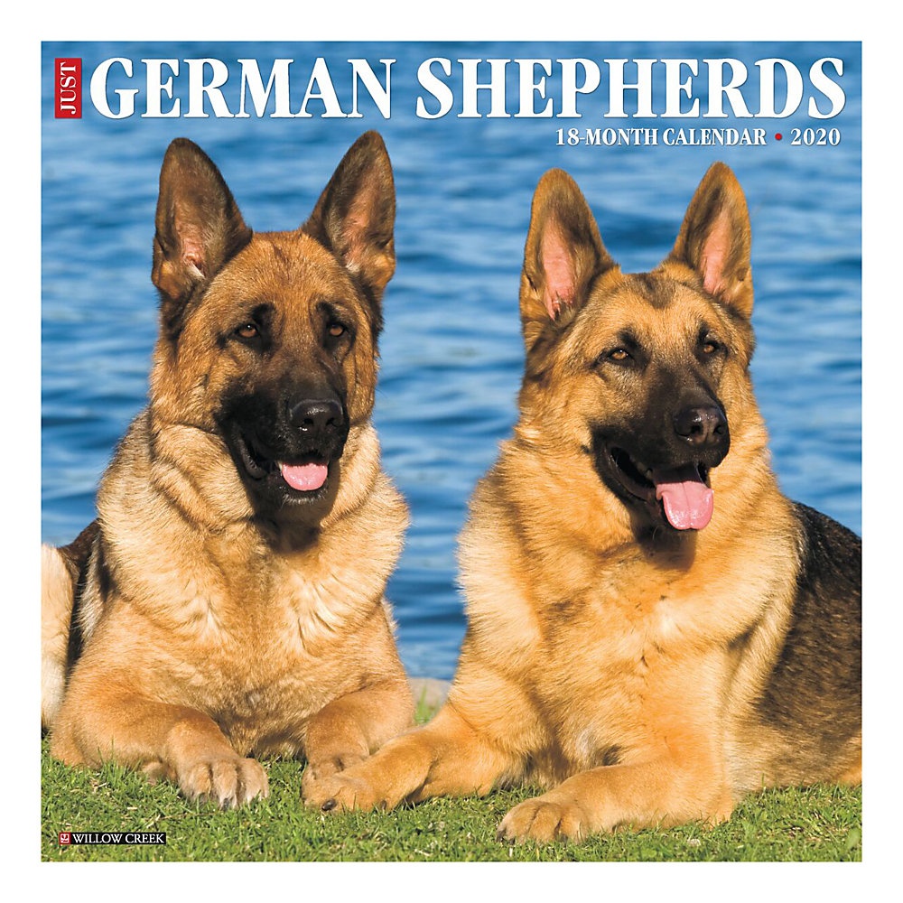 slide 1 of 1, Willow Creek Press German Shepherds Are A Highly Popular Breed Esteemed For Their Great Looks, Loyalty, Versatility And Service To Others. These Fabulous Characteristics And More Are On Full Display In These Twelve Vivid Photographs., 1 ct