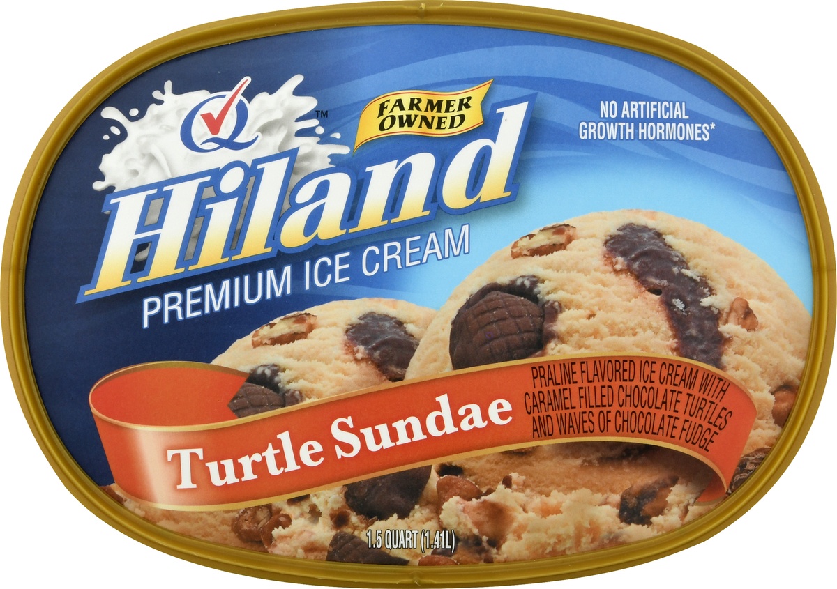 slide 6 of 10, Hiland Dairy Ice Cream Turtle Sundae, 48 oz