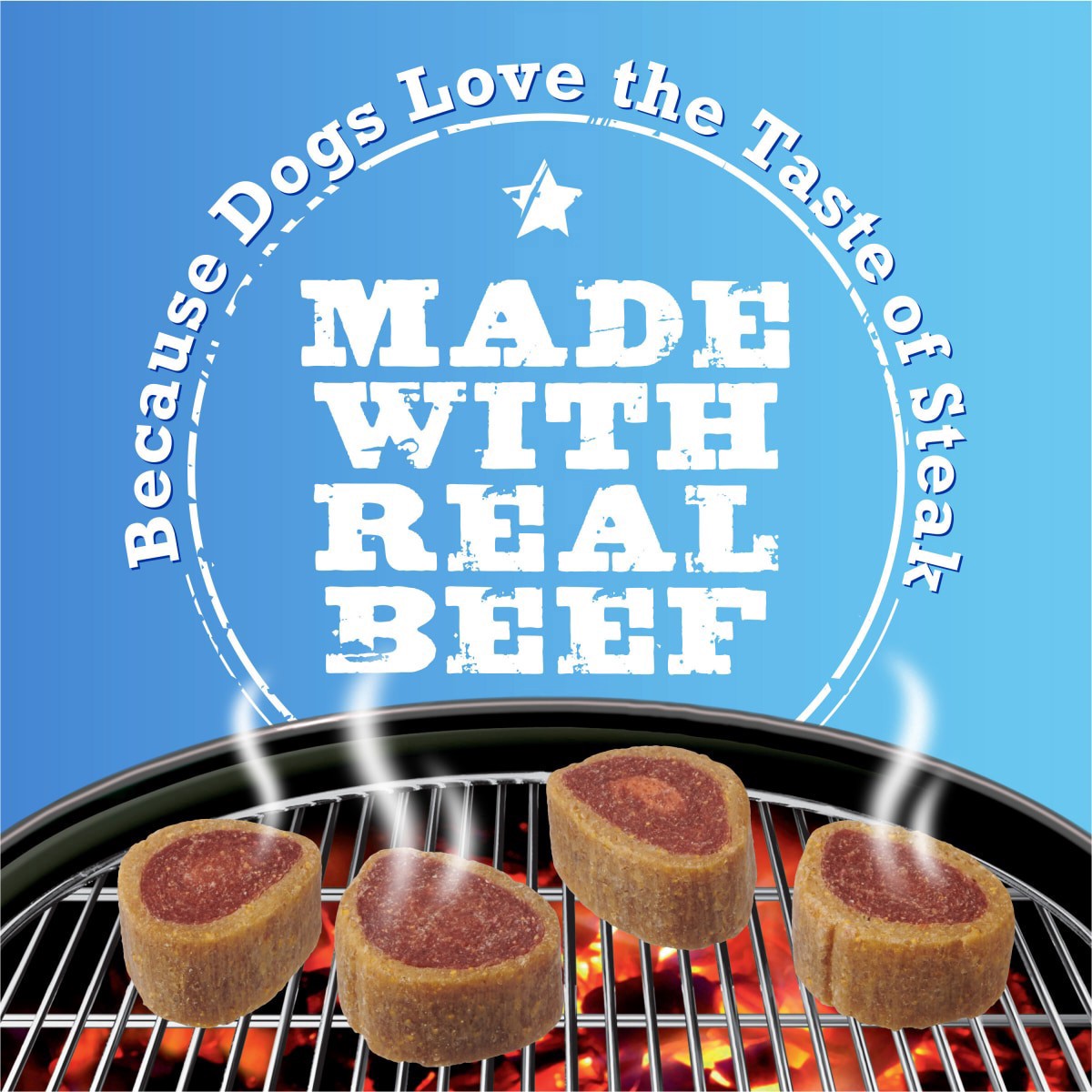 slide 10 of 21, T Bonz Steak-Shaped Filet Mignon Flavor Dog Treats 4 oz, 4 oz
