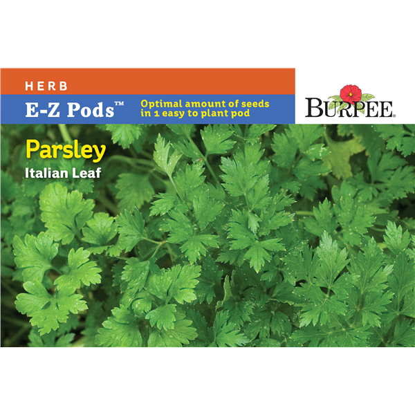 slide 1 of 1, Burpee Simplysalad Italian Leaf Parsley, 1 ct