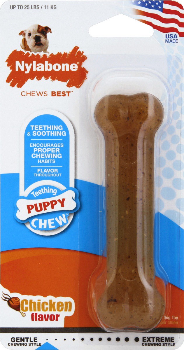 slide 2 of 2, Nylabone Puppy Chew 1 ea, 1 ct