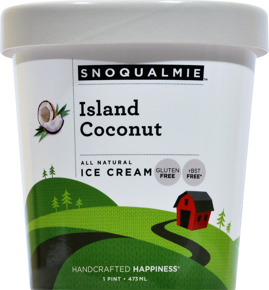 slide 1 of 1, Snoqualmie Island Coconut Ice Cream, 16 fl oz