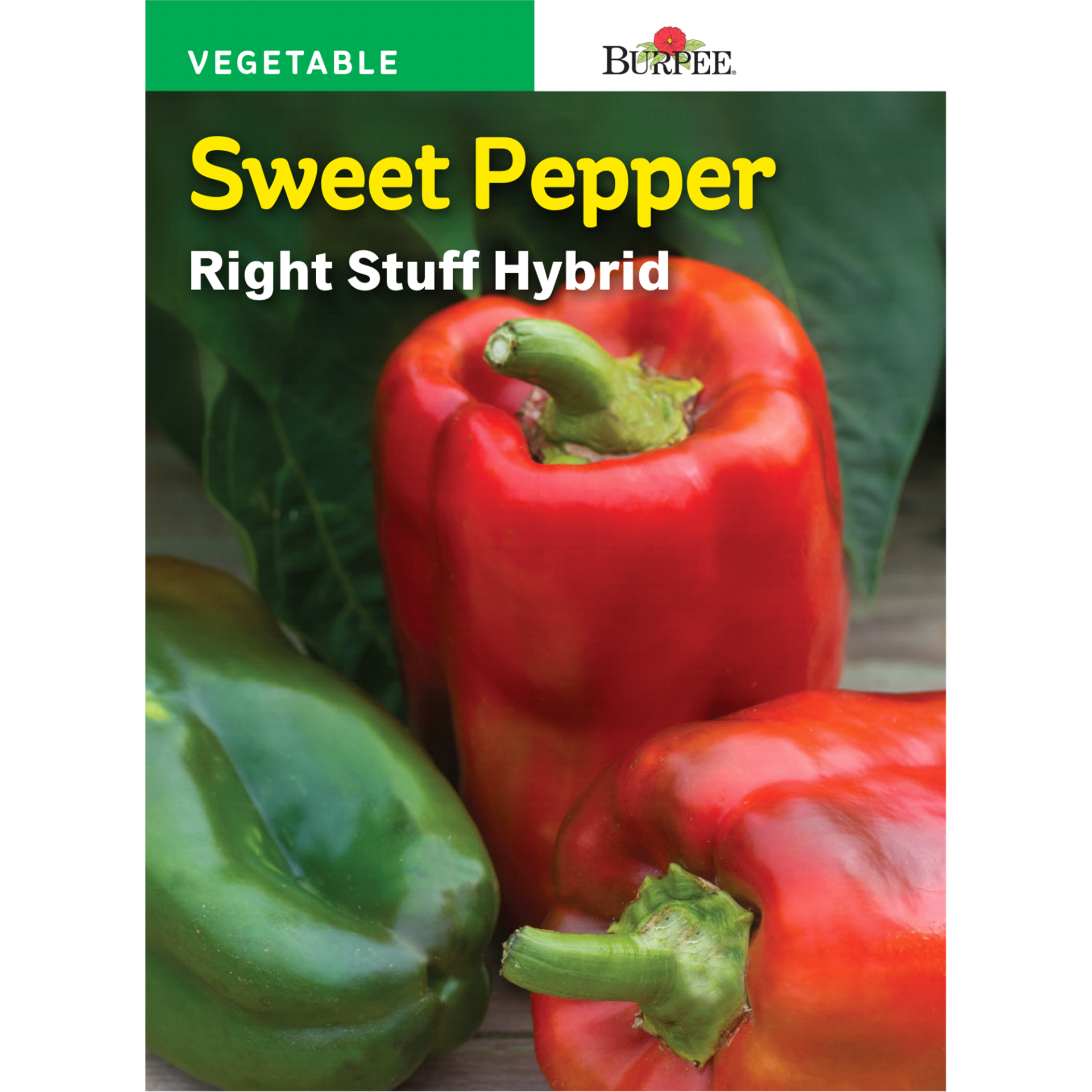 slide 1 of 1, Burpee Sweet Pepper, Right Stuff Hybrid, 1 ct