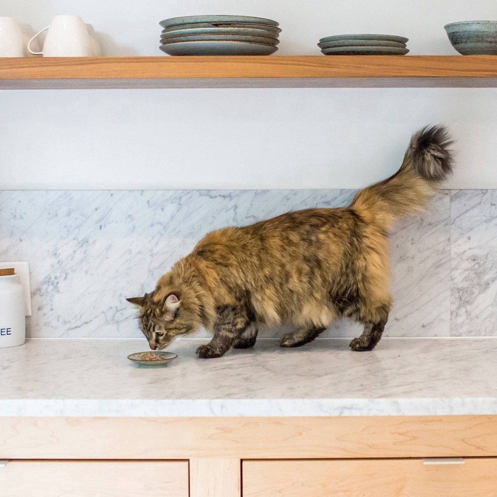 slide 2 of 4, I and Love and You Grain Free Savory Salmon Pate Cat Food 3 oz, 3 oz