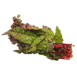 Organic Red Chard