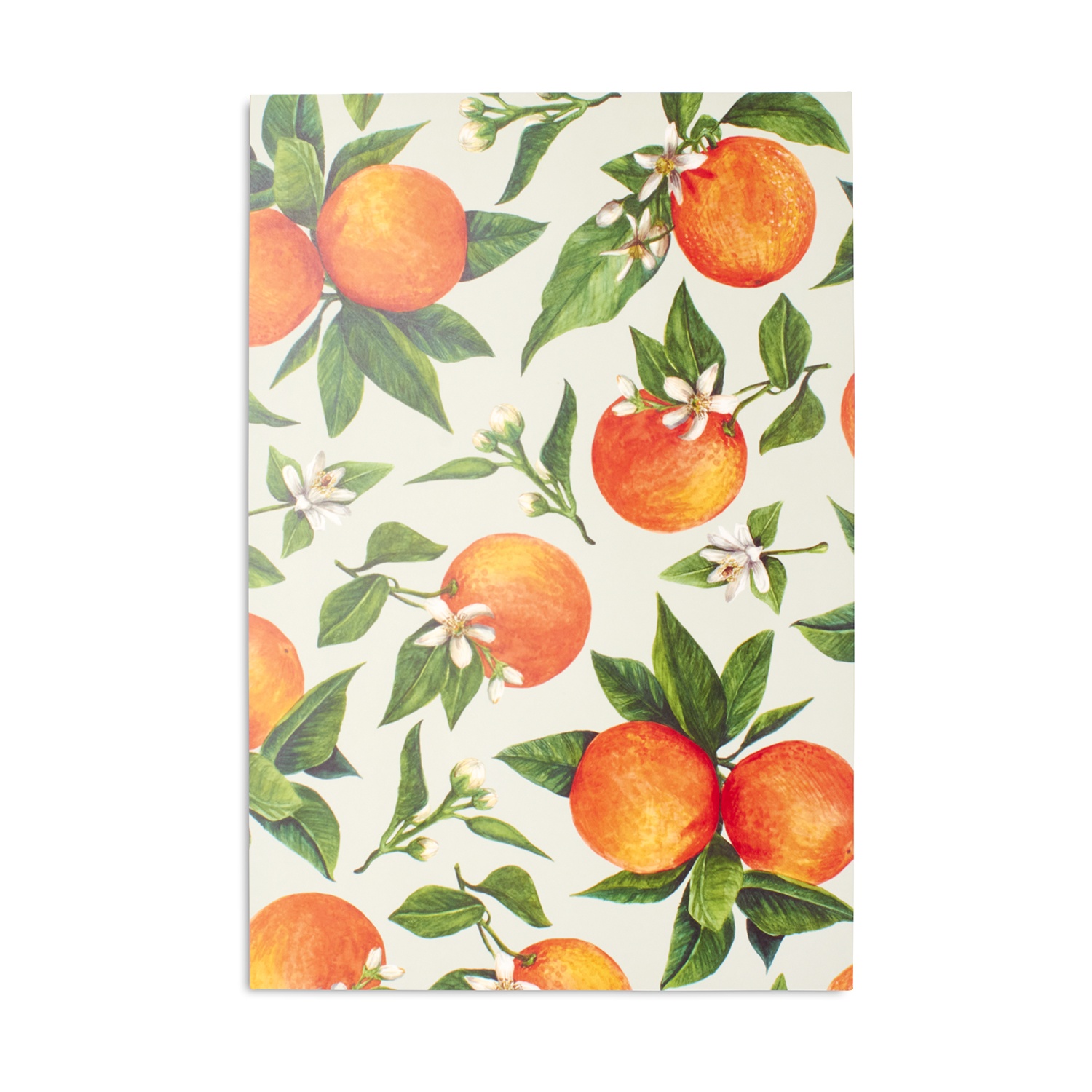 slide 1 of 1, Kitchen Papers Orange Orchard Placemats, 24 ct