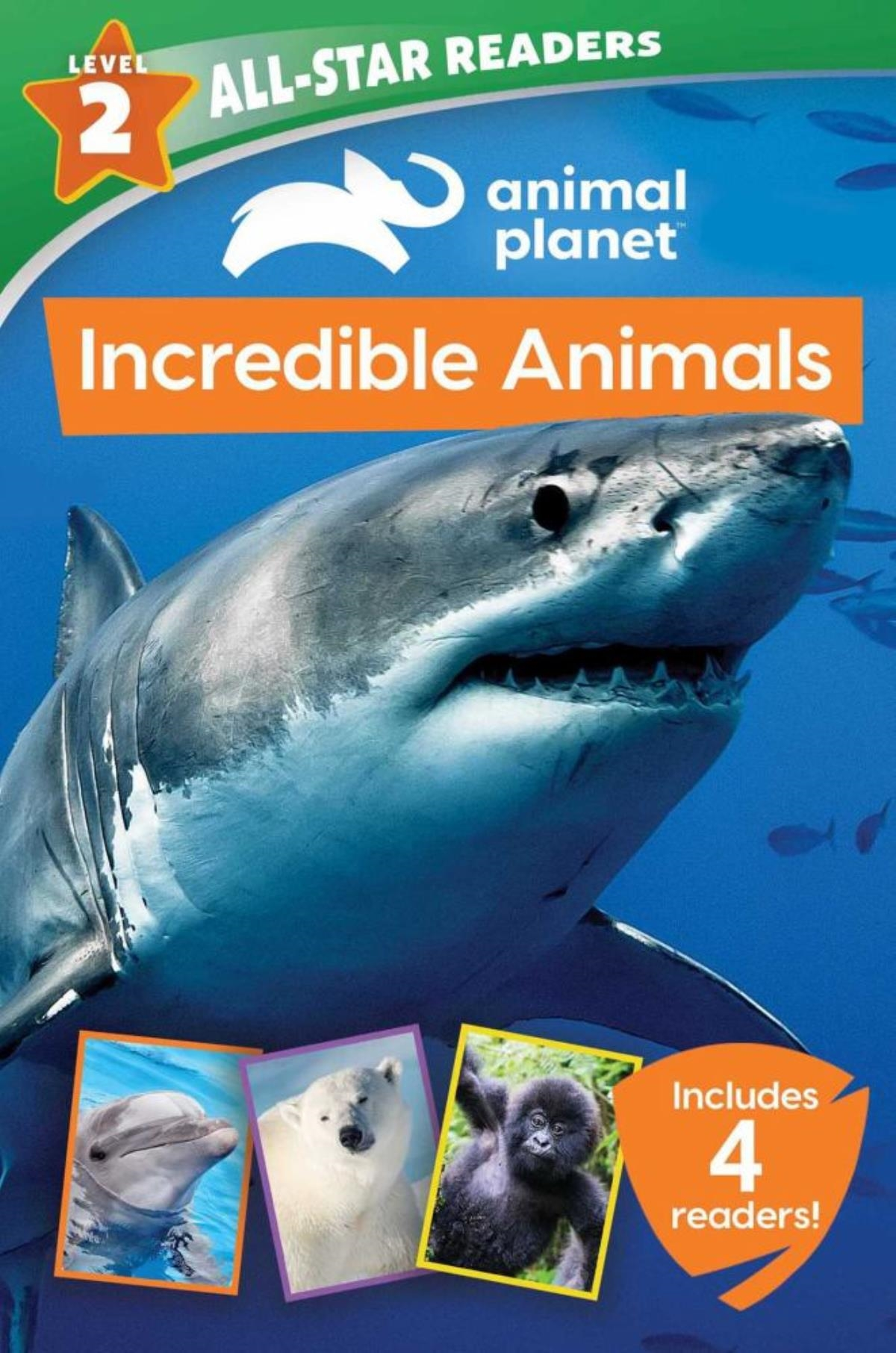 slide 1 of 1, AP INCREDIBLE ANIMALS 4BK By LORI C FROEB, 1 ct
