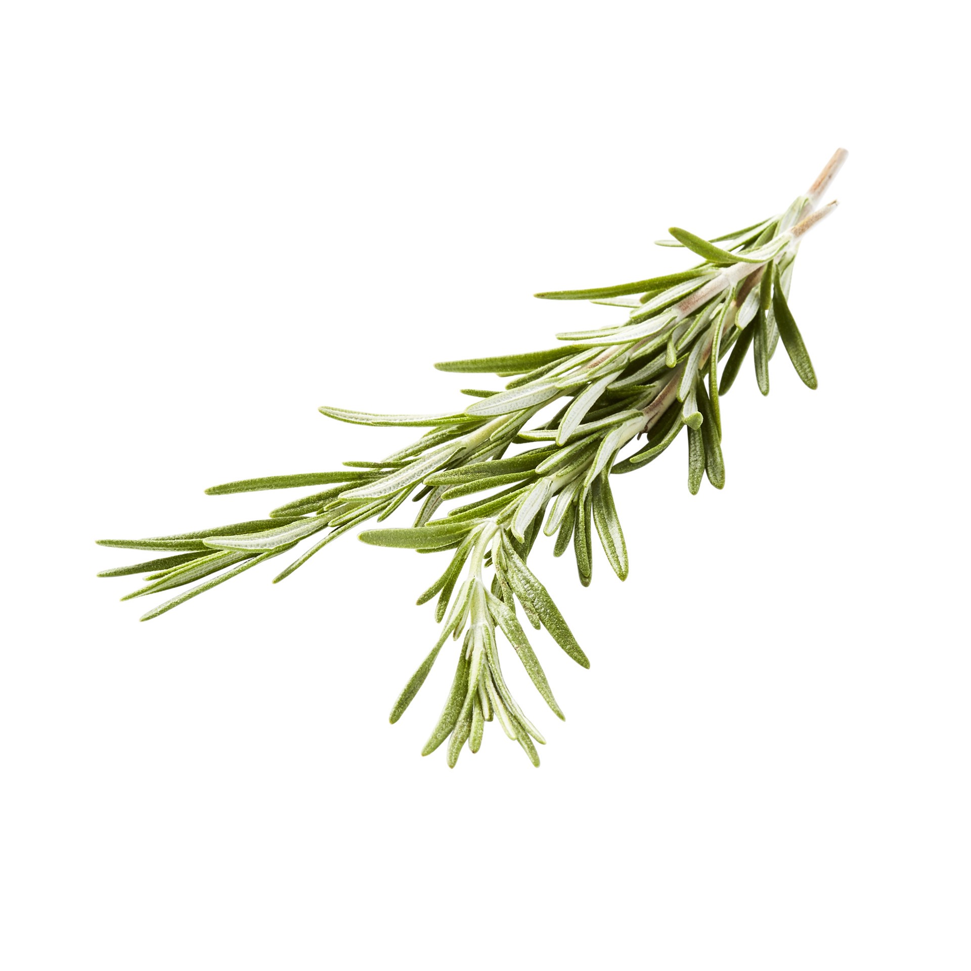 slide 1 of 1, Goodness Gardens Rosemary, 0.75 oz