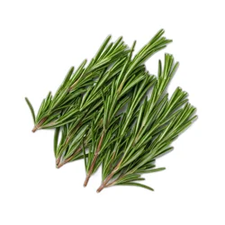 Goodness Gardens Rosemary