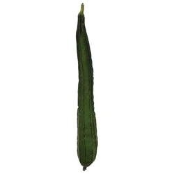 Okra