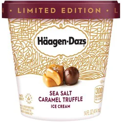 Häagen-Dazs Sea Salt Caramel Gelato