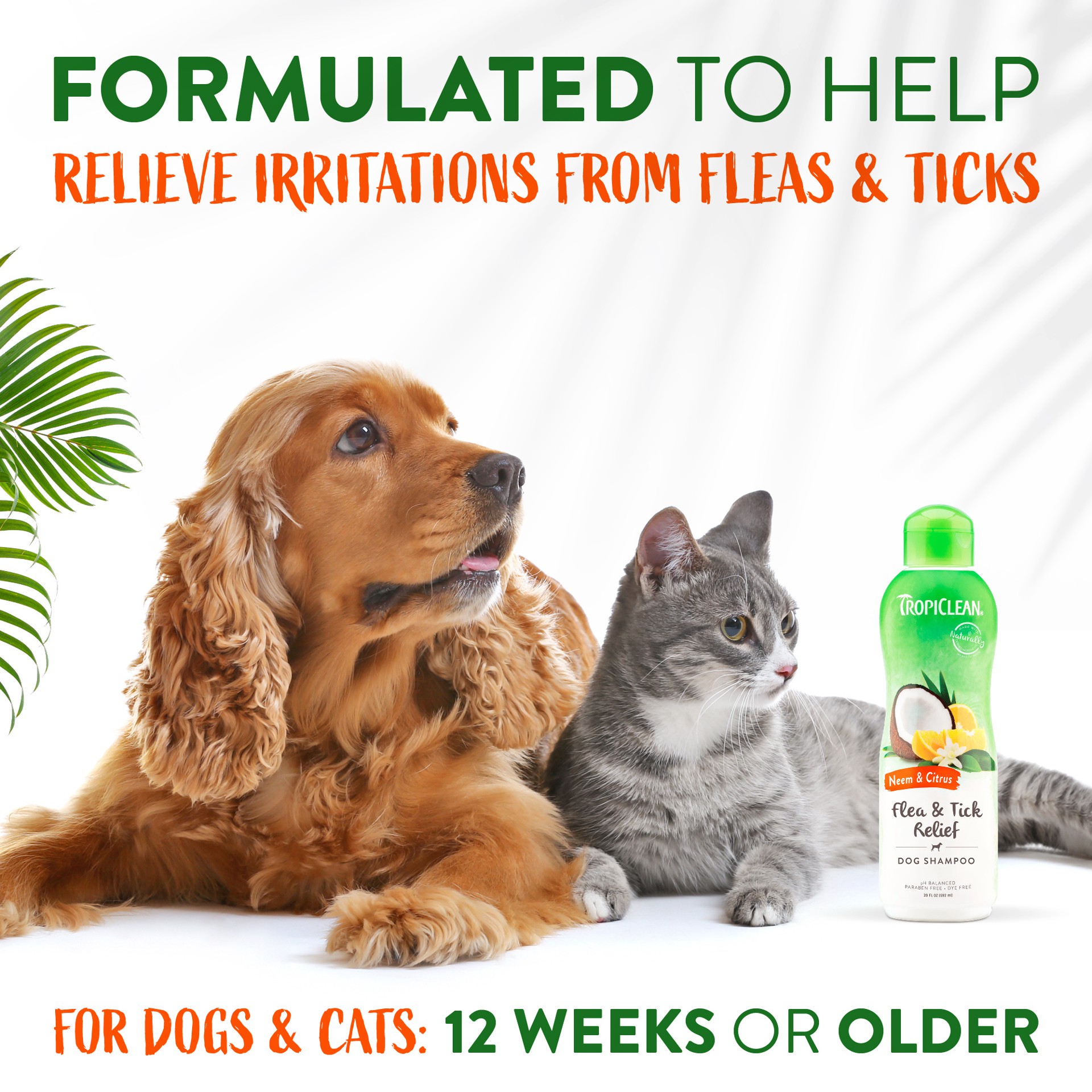 slide 5 of 10, TropiClean Neem & Citrus Flea & Tick Relief Shampoo for Dogs, 20oz, 20 oz