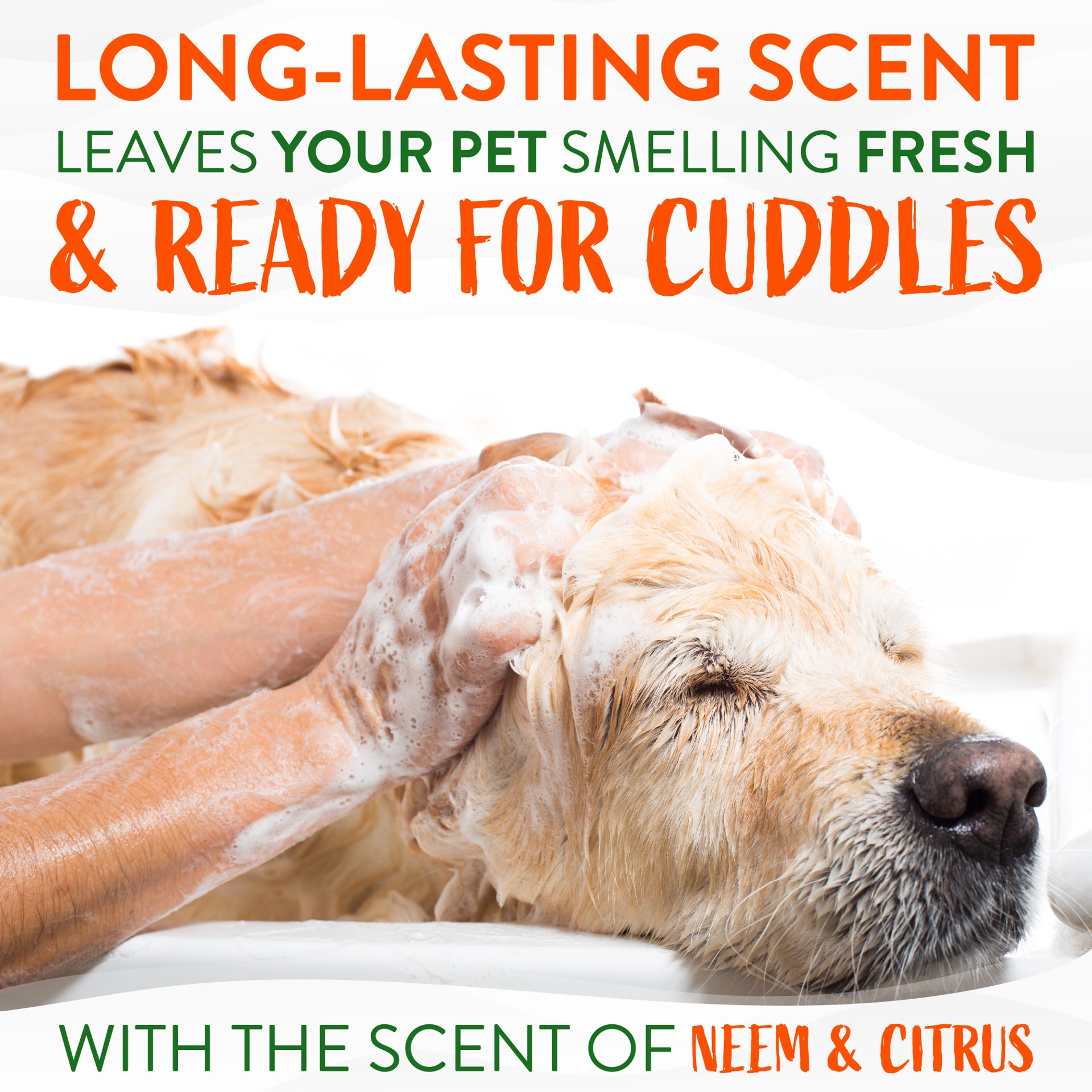 slide 10 of 10, TropiClean Neem & Citrus Flea & Tick Relief Shampoo for Dogs, 20oz, 20 oz