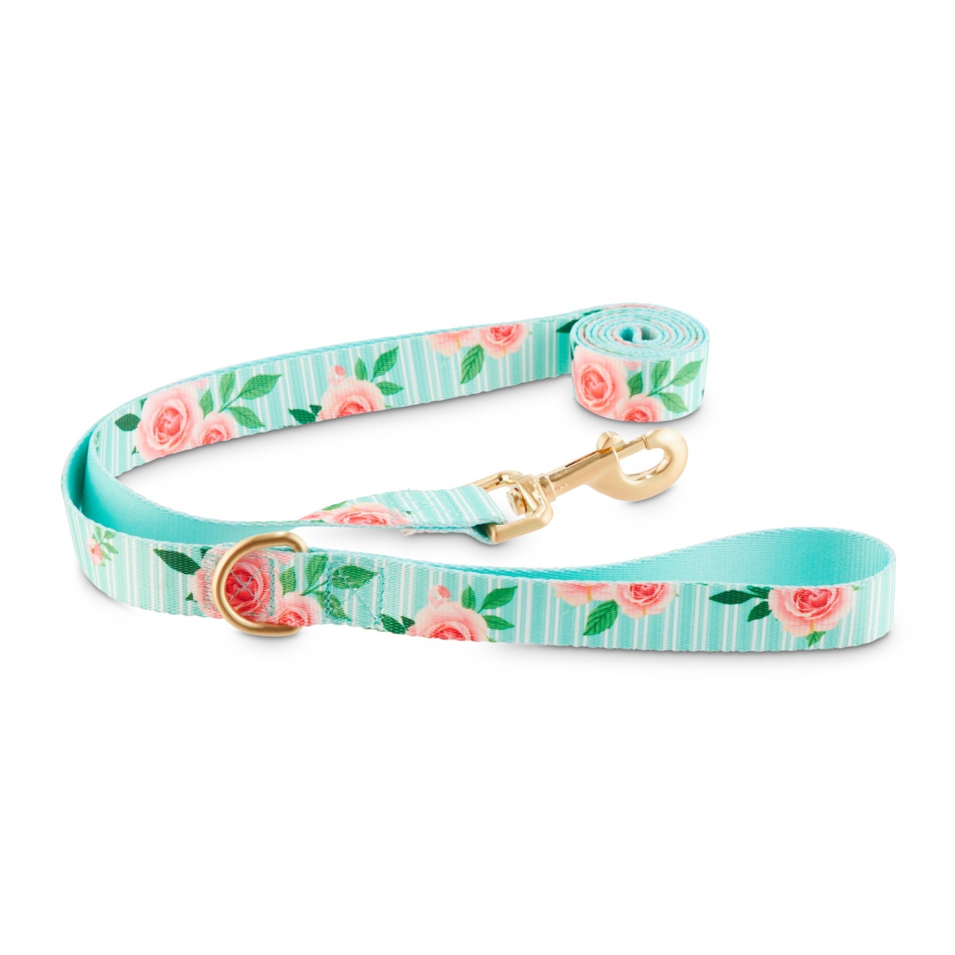 slide 1 of 1, Good2Go Pink Rose Print Dog Leash in Blue, 1 ct