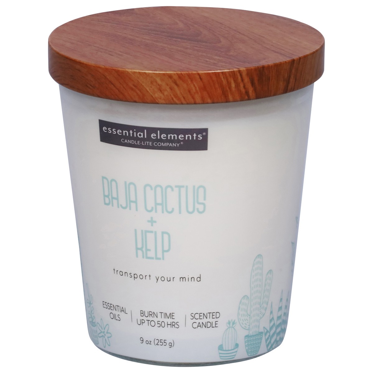 slide 4 of 12, Essential Elements Baja Cactus + Kelp Candle 1 ea, 1 ct