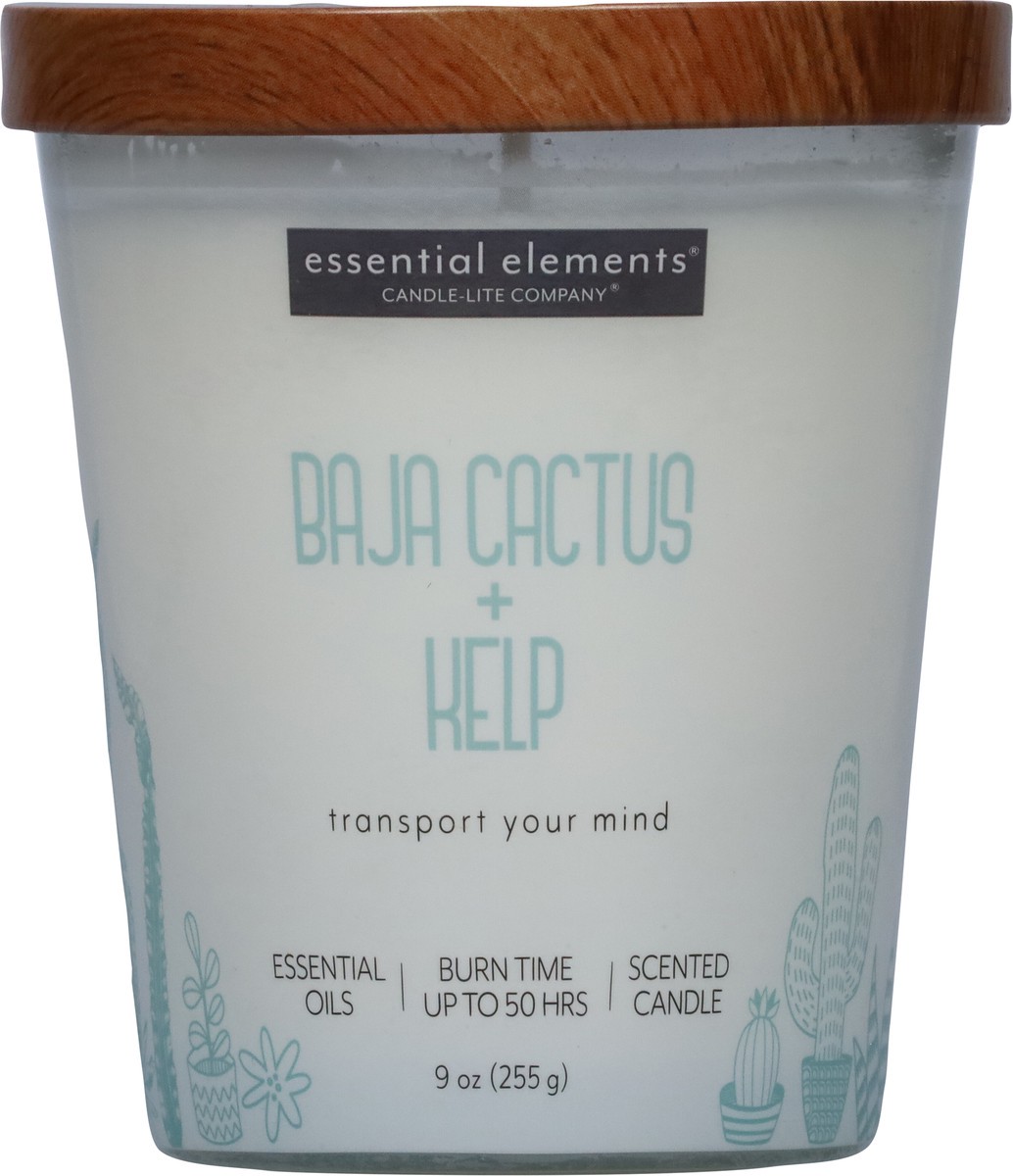slide 9 of 12, Essential Elements Baja Cactus + Kelp Candle 1 ea, 1 ct