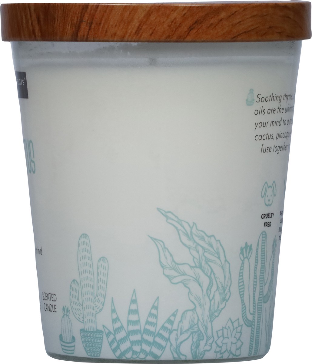slide 2 of 12, Essential Elements Baja Cactus + Kelp Candle 1 ea, 1 ct