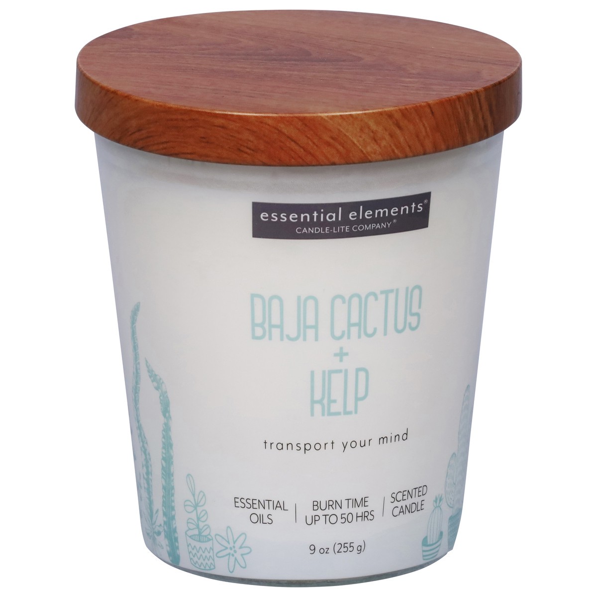 slide 7 of 12, Essential Elements Baja Cactus + Kelp Candle 1 ea, 1 ct