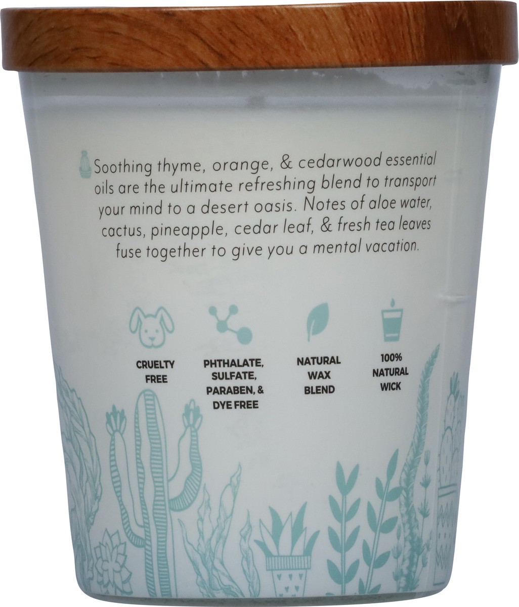 slide 5 of 12, Essential Elements Baja Cactus + Kelp Candle 1 ea, 1 ct
