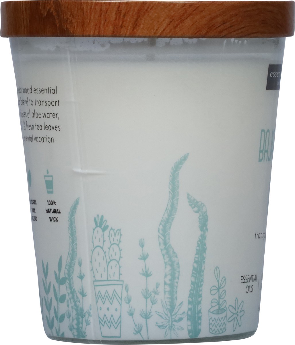 slide 12 of 12, Essential Elements Baja Cactus + Kelp Candle 1 ea, 1 ct