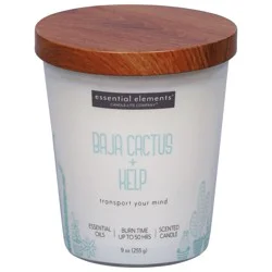 Essential Elements Baja Cactus + Kelp Candle - 1 ea