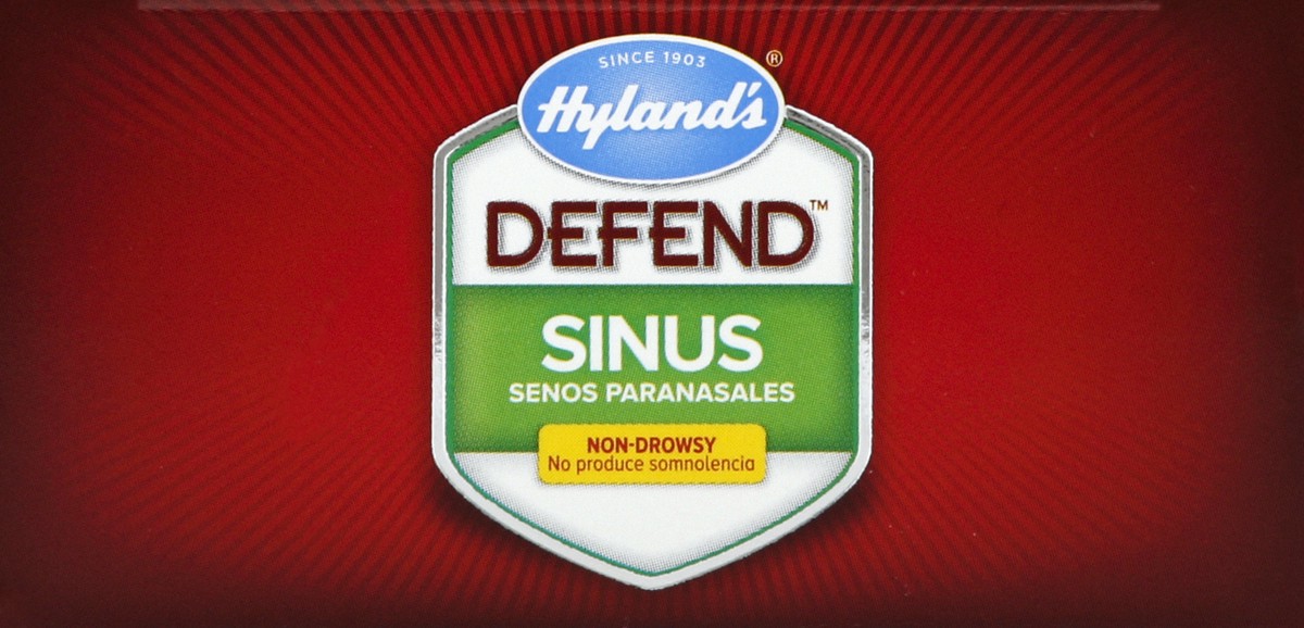 slide 2 of 6, Hyland's Sinus 40 ea, 40 ct