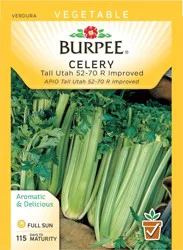Burpee Tall Utah Improved Celery Seeds