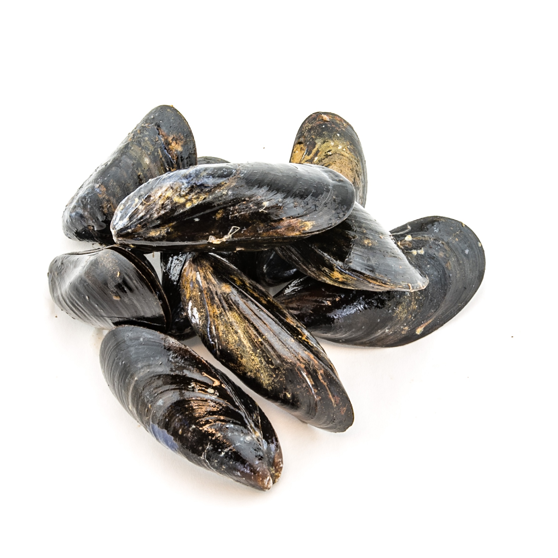 slide 1 of 1, Mussels Farm Canadian, per lb